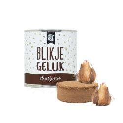 BLIKJE GELUK