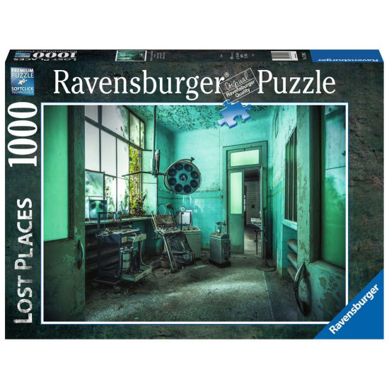 RBPuzzel Psychiatrische inricht (1000)