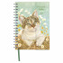 FRANCIENS KATTEN AGENDA FEMKE