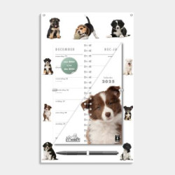 Omslagkalender Honden 2025