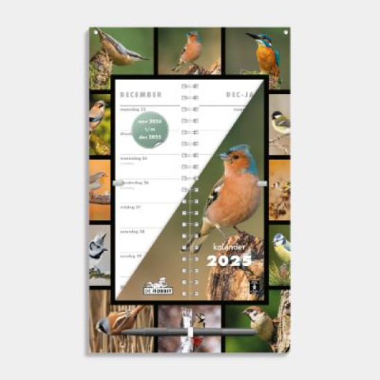 Omslagkalender Vogels 2025