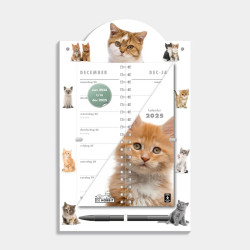 OMSLAGKALENDER WEEK LUXE KATTEN