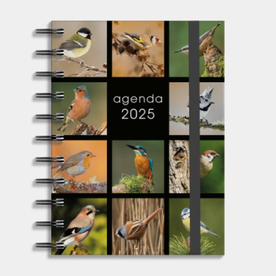 Agenda Spiraal A6 Vogels 2025