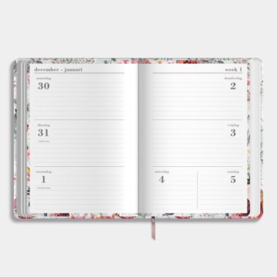 Agenda Week Extra D3 2025