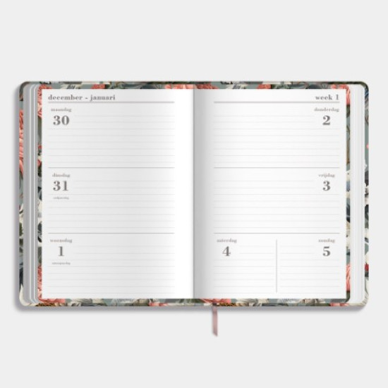 Agenda Week Extra D4 2025