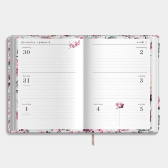 Agenda Week Extra D5 2025