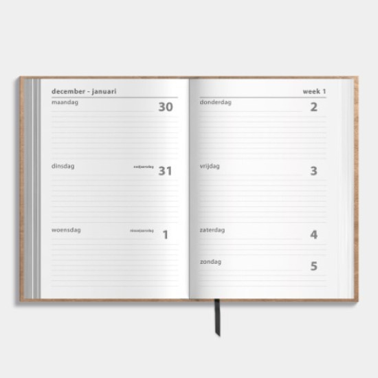 Agenda Basic D3 2025