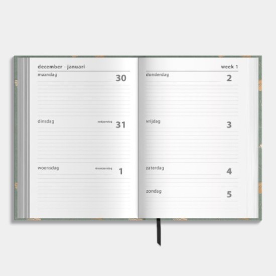 Agenda Basic D4 2025