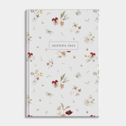 Agenda Basic D6 2025