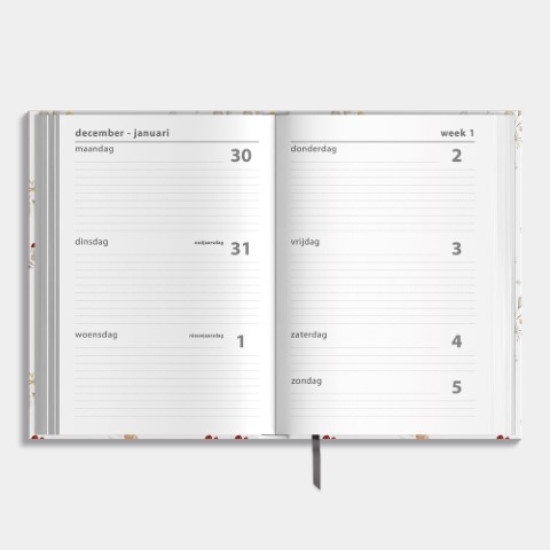 Agenda Basic D6 2025