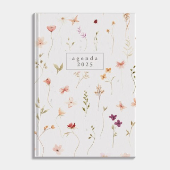 Agenda Mini D2 2025