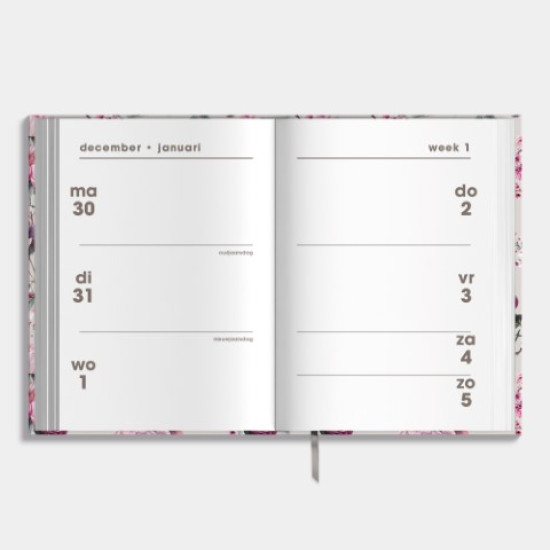 Agenda Mini D2 2025