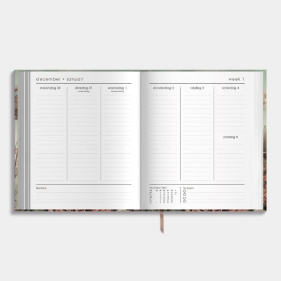 Planner Luxe D1 2025