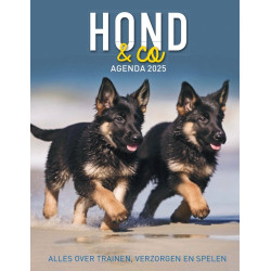 HOND&CO AGENDA