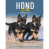 HOND&CO AGENDA