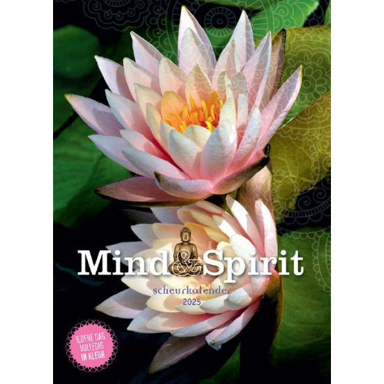 MIND SPIRIT SCHEURKALENDER