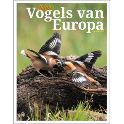 VOGELS VAN EUROPA AGENDA